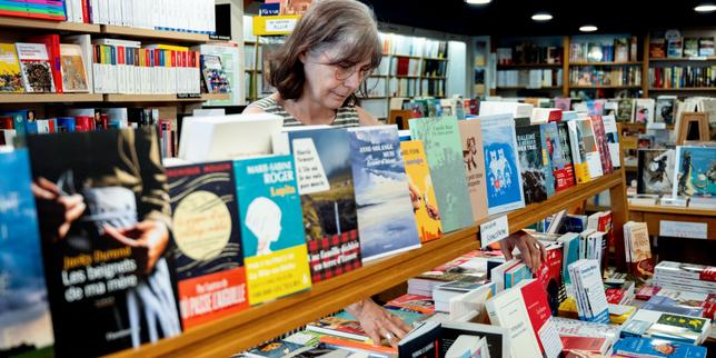What is a book? France's economy ministry consults the public to determine preferential tax rates