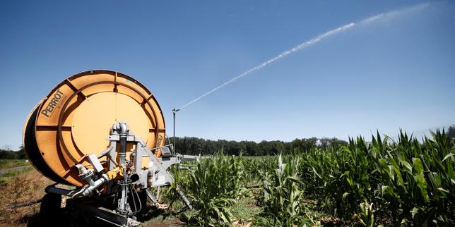 Loi d’urgence agricole : accord parlementaire pour favoriser la réintroduction de pesticides interdits et le stockage de l’eau