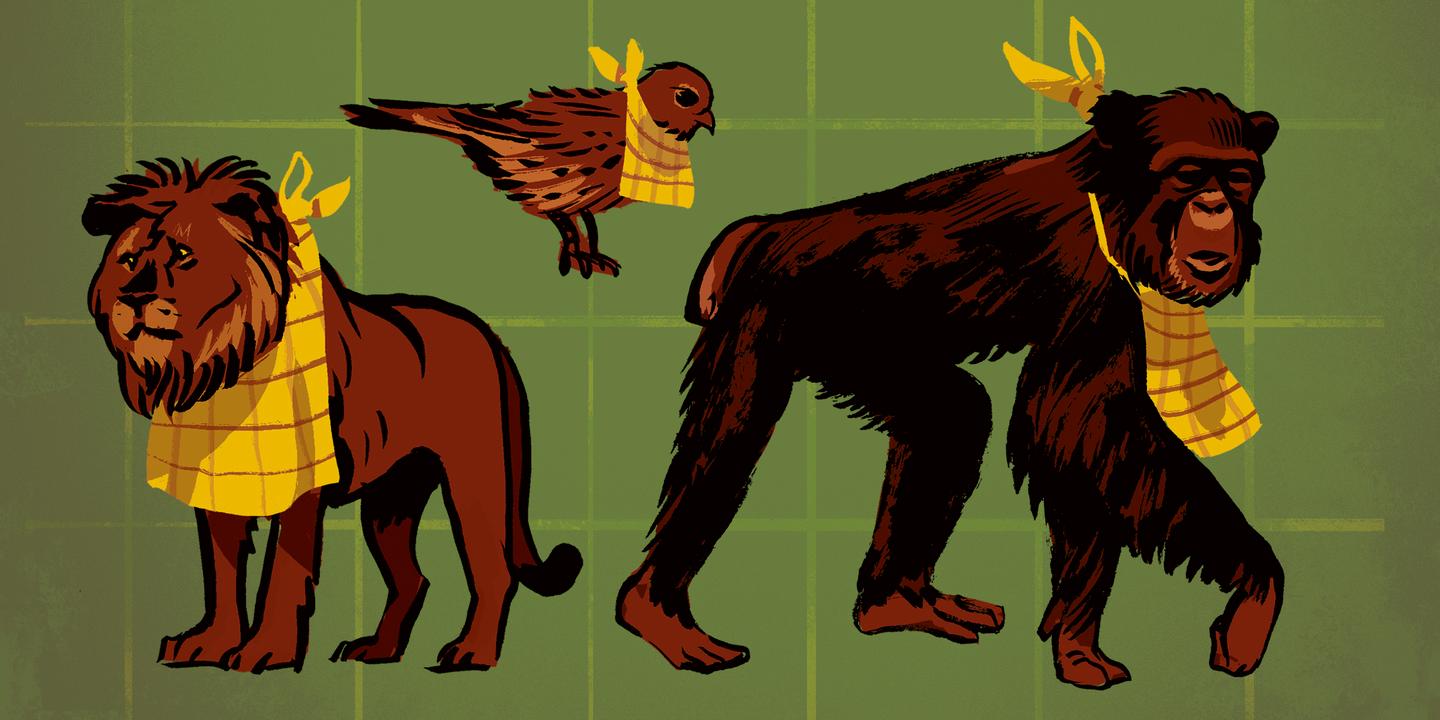 Cannibalisme animal : une pratique naturelle et répandue