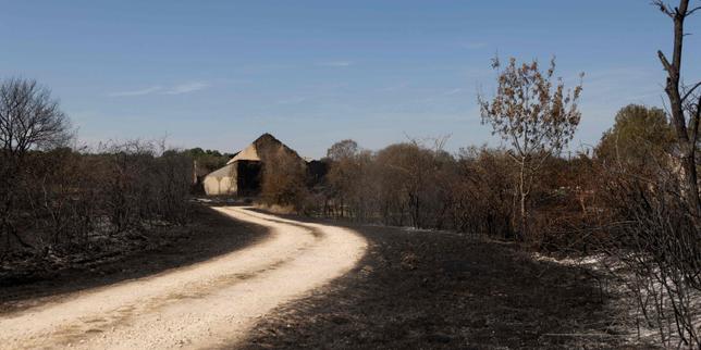 France's wildfires burn twice as much land as last year