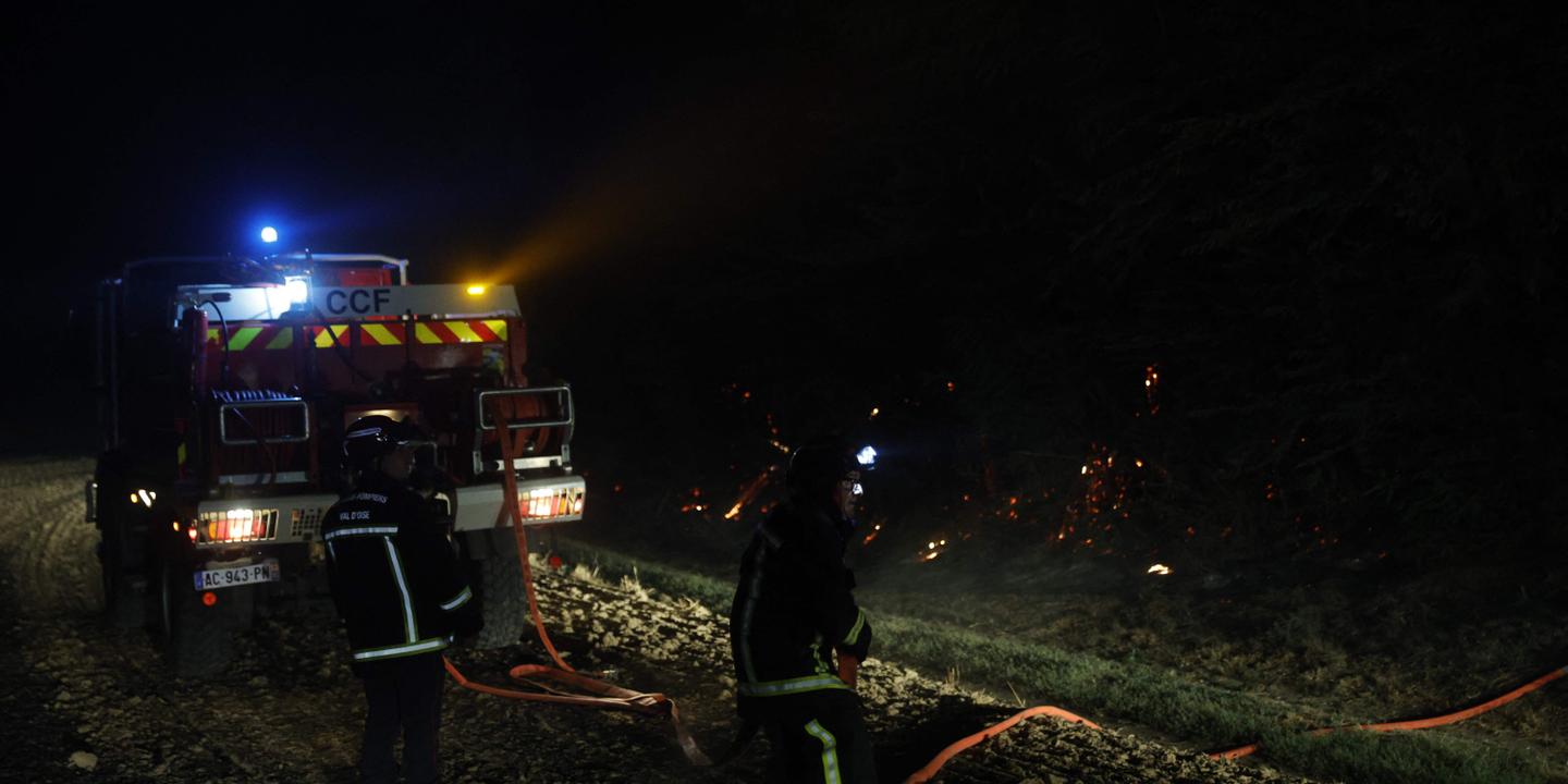 Incendie en forêt de Fontainebleau : 800 hectares parcourus en images