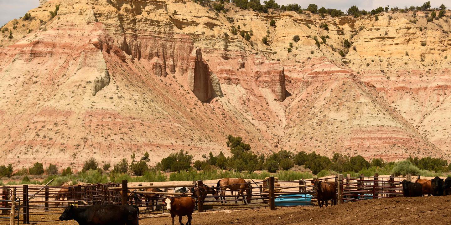 Trump réduit drastiquement le périmètre de zones protégées de l’Utah, ouvrant la voie à une exploitation minière et pétrolière de ces réserves naturelles