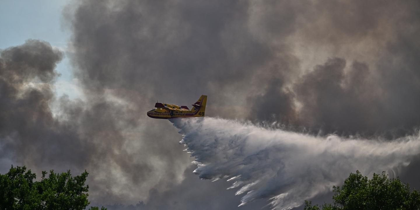 Incendie à Fontainebleau : 600 hectares brûlés, situation en amélioration