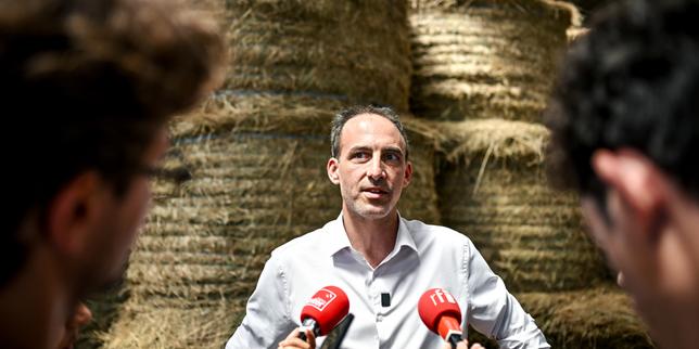 Raphaël Glucksmann dénonce une opération russe de « déstabilisation » le visant et impliquant Léa Salamé, sa compagne, et Edwy Plenel