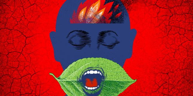 Les canicules à répétition font exploser l’écoanxiété et la colère des jeunes : « J’ai l’impression qu’on est entrés dans une dystopie »