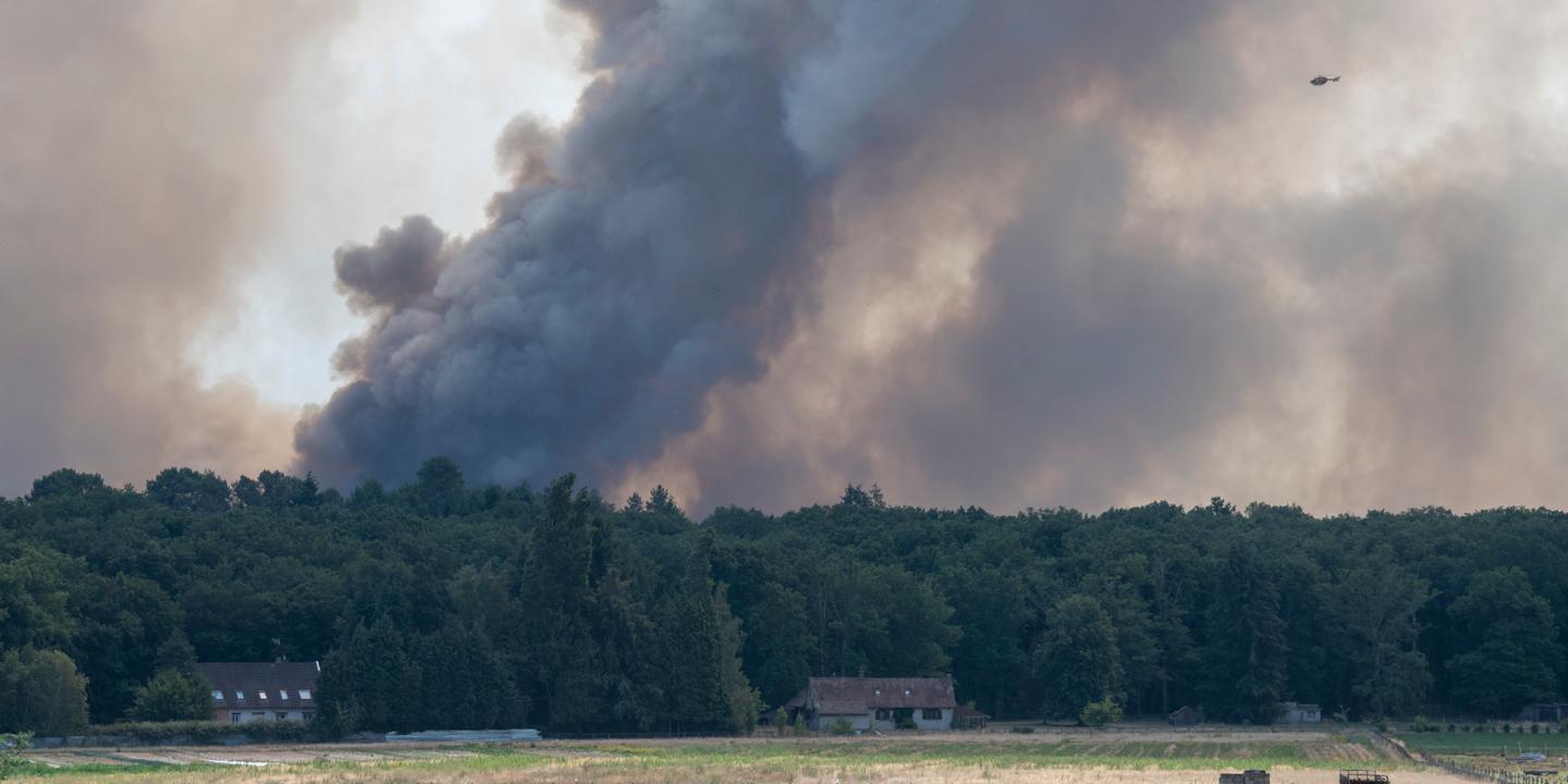 https://img.lemde.fr/2026/07/14/365/0/6036/3018/1440/720/60/0/e07f8c0_upload-1-vcpw9qo771yu-incendie-en-foret-de-fontainebleau-47.jpg