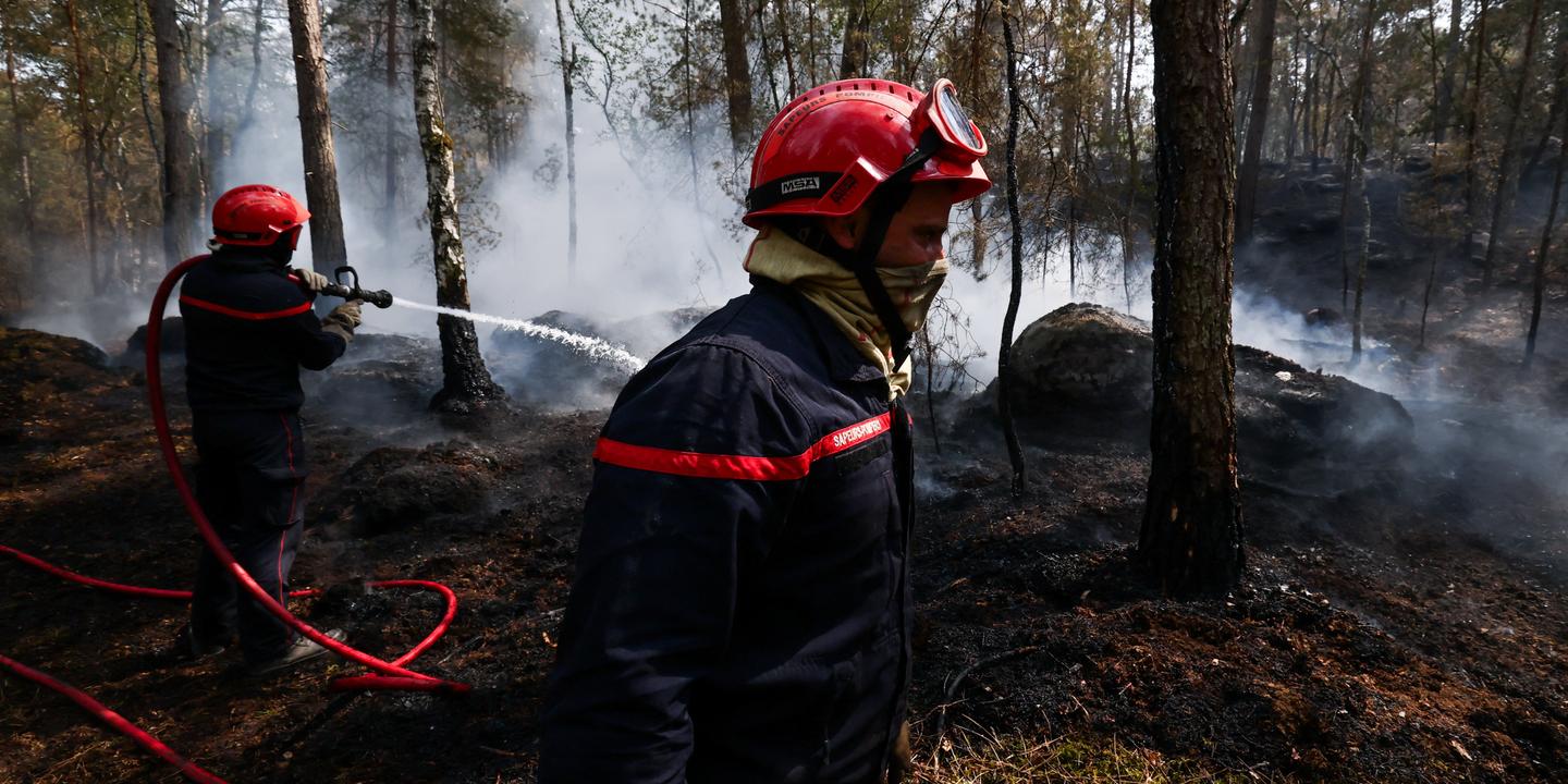Incendies à Fontainebleau : six gardes à vue, un pompier volontaire reconnaît les faits
