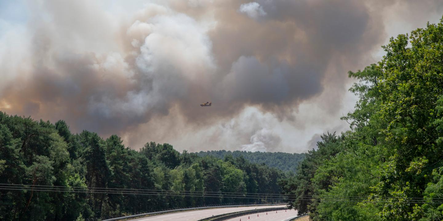 Incendies en forêt de Fontainebleau : plus de 1 900 hectares brûlés