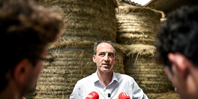 Raphaël Glucksmann dénonce une opération russe de « déstabilisation » le visant et impliquant Léa Salamé, sa compagne, et Edwy Plenel