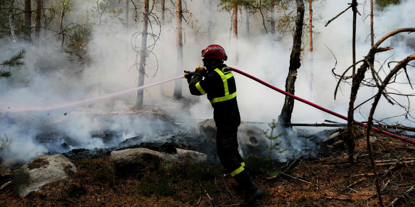 Incendie à Fontainebleau : 2 050 hectares brûlés, le préfet mobilise