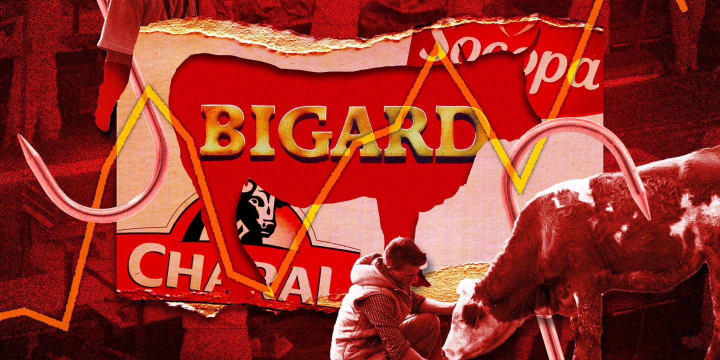 Bigard domine l'abattage bovin et dicte ses règles aux éleveurs