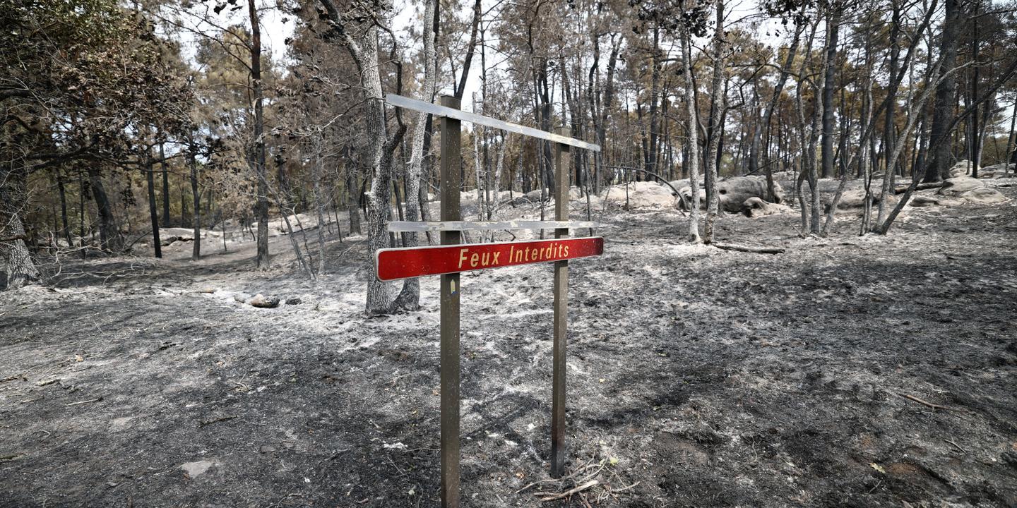 Fontainebleau : deux aveux, les feux restent actifs