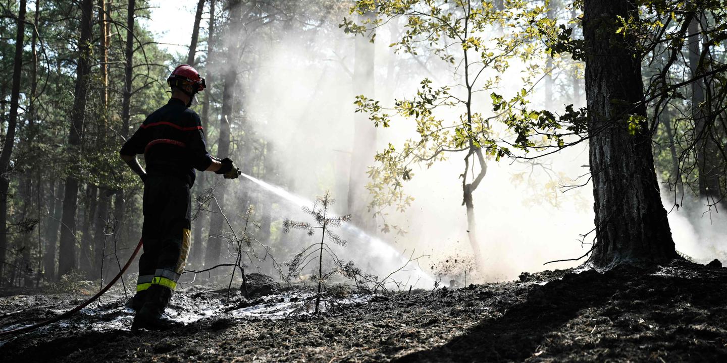 Incendies à Fontainebleau : dispositif allégé après stabilisation