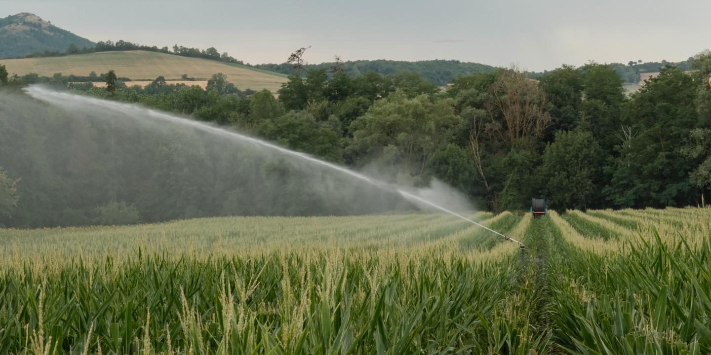 Sécheresse : la Coordination rurale appelle à ne pas respecter les restrictions d'eau