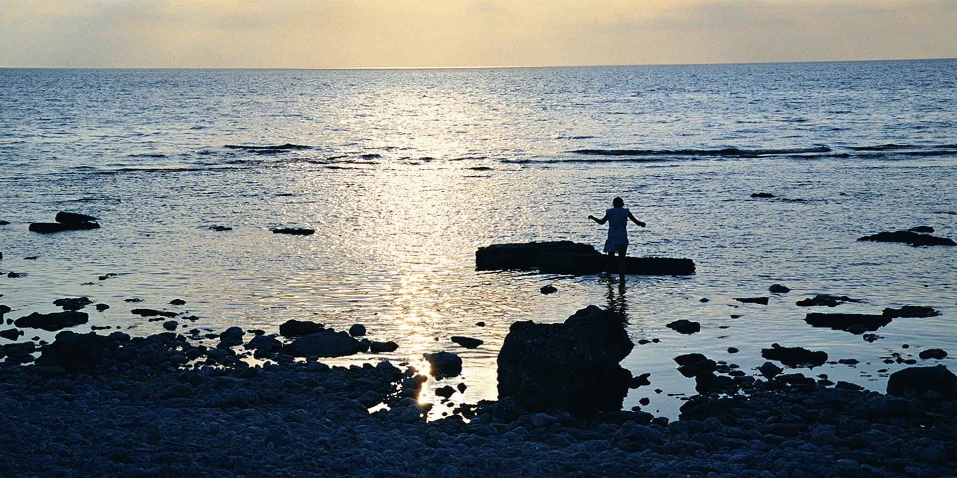 Searching for Ingmar Bergman’s soul on Sweden’s Fårö island.
