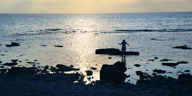 Why Ingmar Bergman's Fårö Still Haunts Cinema In 2026