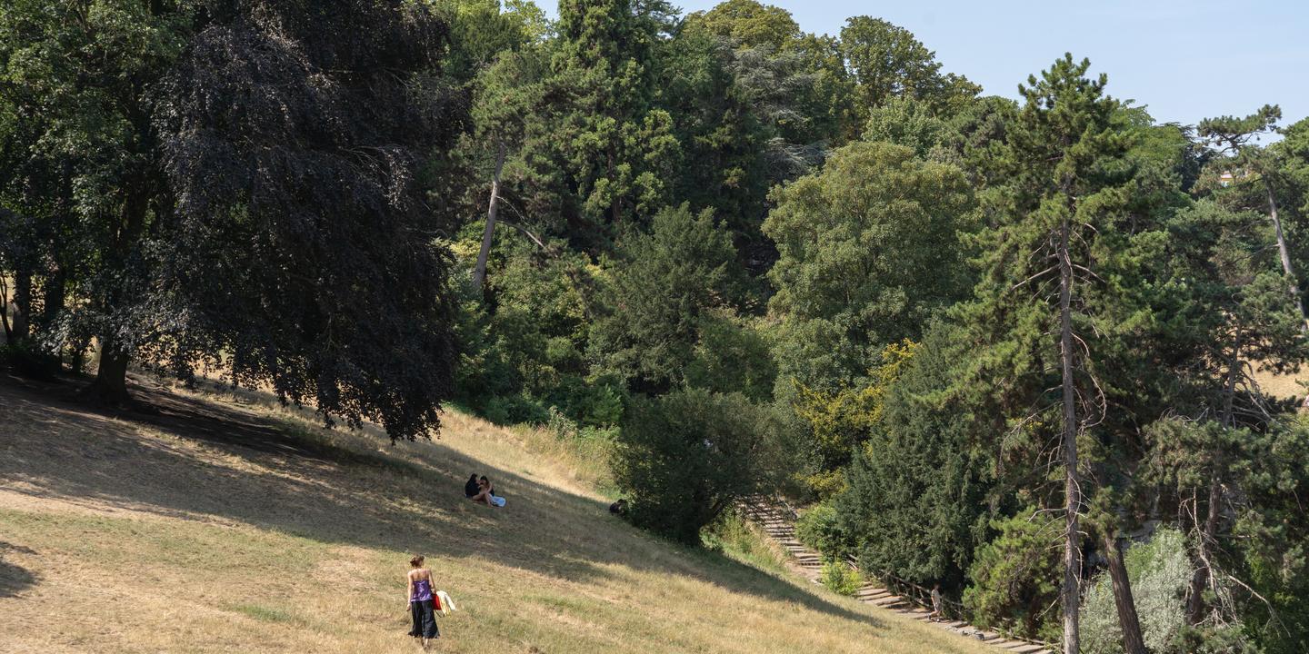 France : troisième canicule la plus longue jamais mesurée