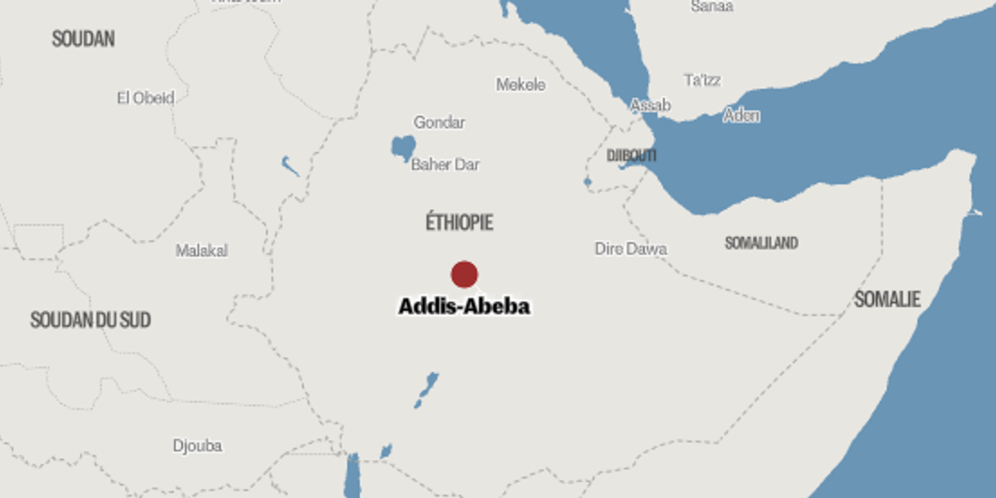 Éthiopie : manifestation pro-gouvernement à Addis-Abeba contre le recrutement forcé au Tigré
