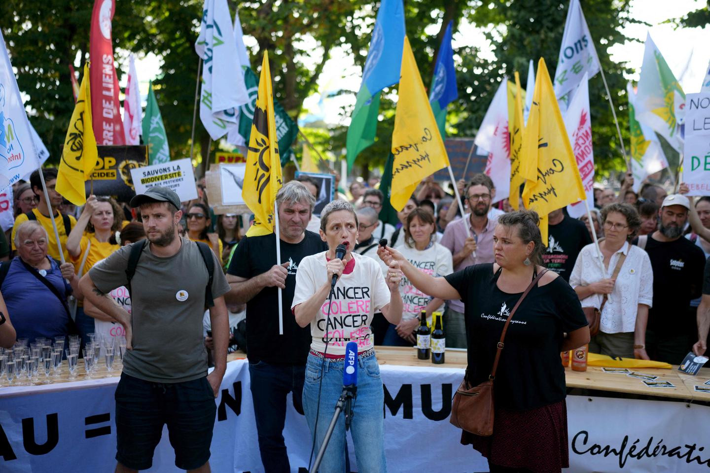 Le fonds d'indemnisation des victimes de pesticides franchit 1 000 demandes en 2025, un record.