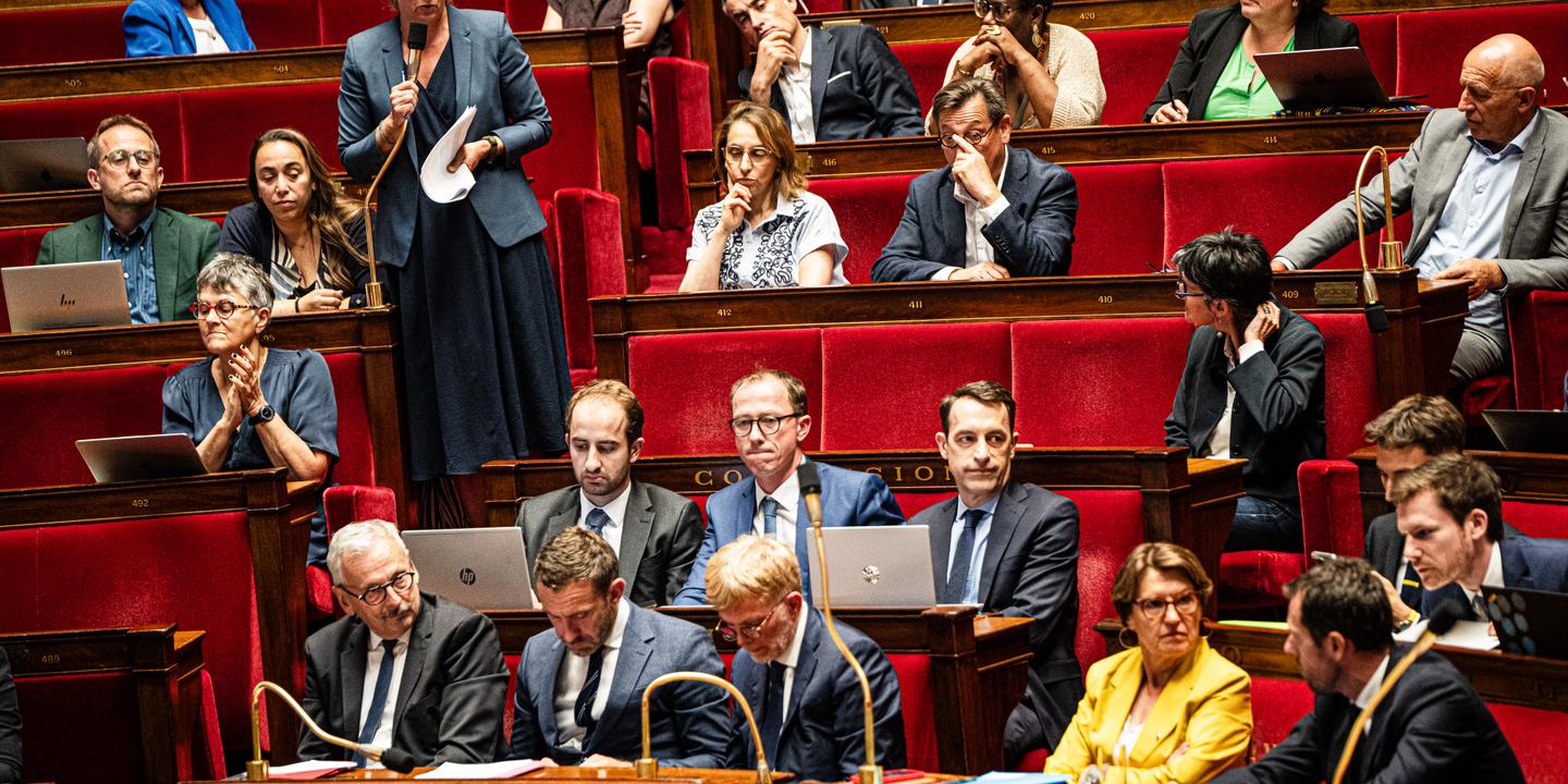 Loi urgence agricole : saisie du Conseil constitutionnel par députés LFI et écologistes