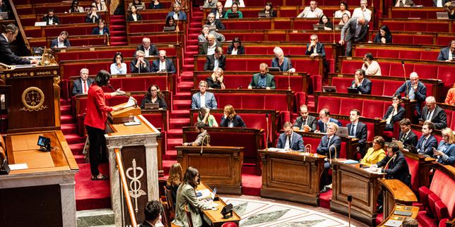 Après le vote de la loi d’urgence agricole, les regards se tournent vers le Conseil constitutionnel