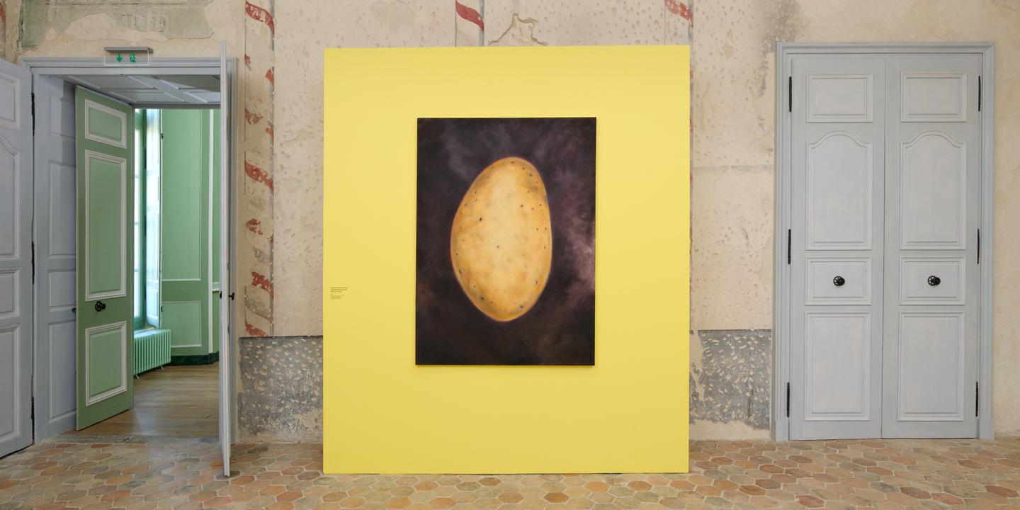 Expo « Cuite ou crue » : la patate en vedette au château d’Aubenas