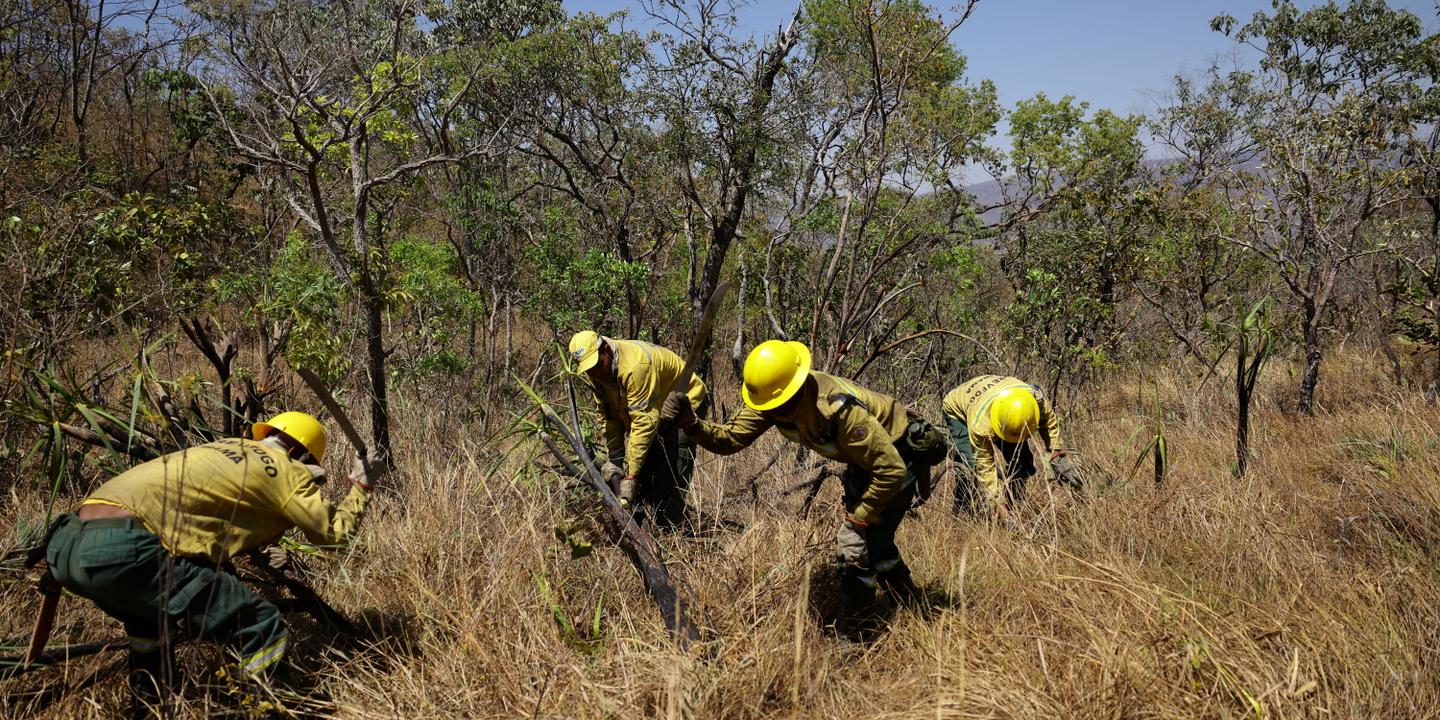 Brésil : la politique anti-incendies de Lula porte ses fruits