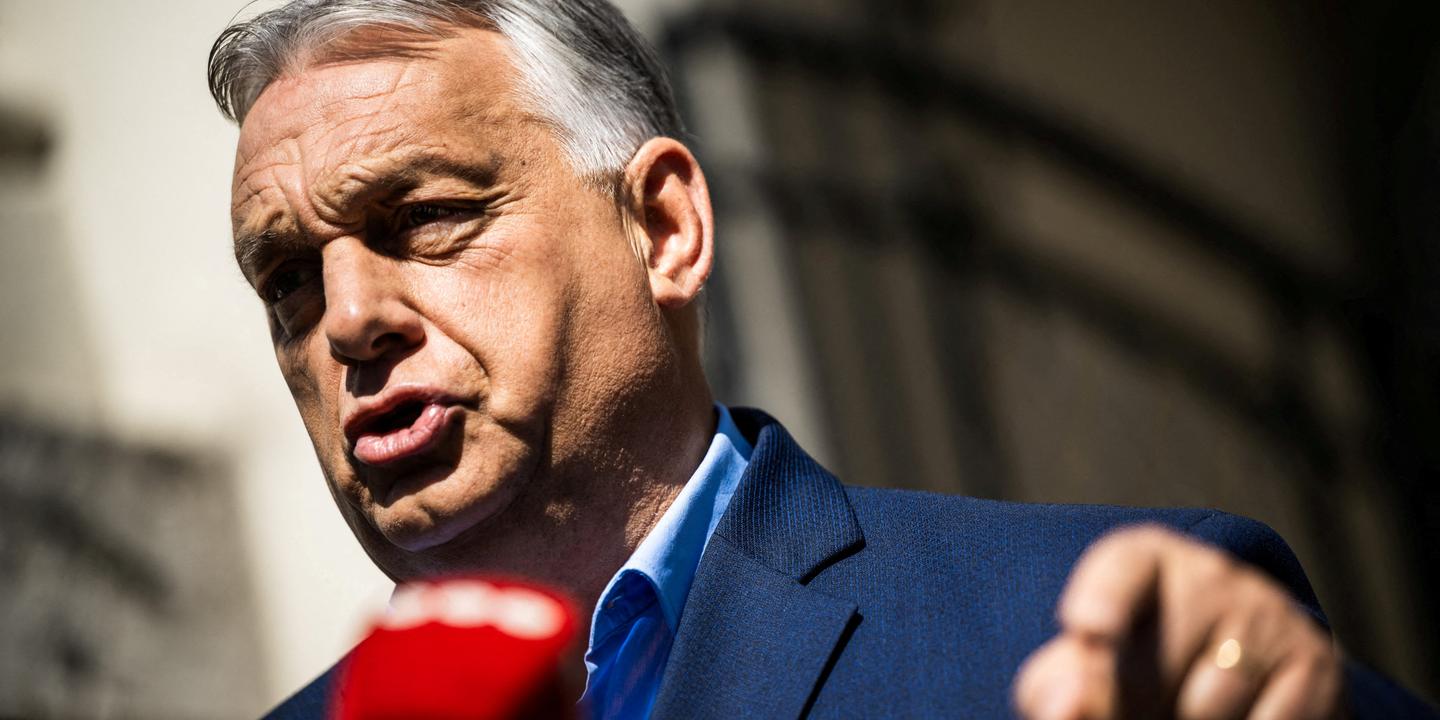 Hongrie : enquête sur un troupeau de zèbres lié à un proche d'Orban