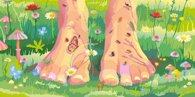« Préserver et restaurer la nature coûte moins cher que la détruire : pour 1 euro investi dans la biodiversité, on en récupère 8 »