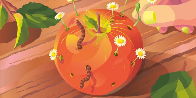 « Une alimentation bio et plus végétale sera bonne à la fois pour l’environnement et pour la santé »