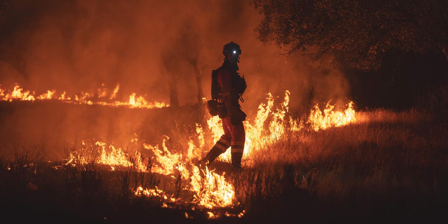 Incendies: le réchauffement climatique a fragilisé nos forêts, notre journaliste répond