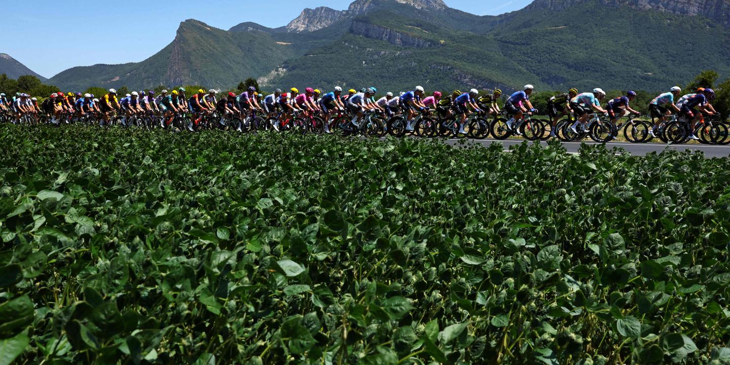 Tour de France 2026 : suivez la 19e étape en direct