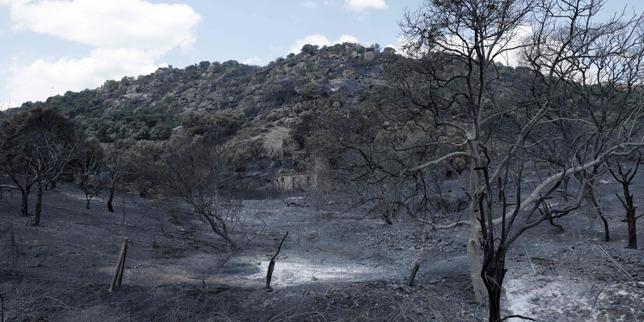 En Espagne, la solidarité et la concorde politique prévalent face à des « incendies monstres »