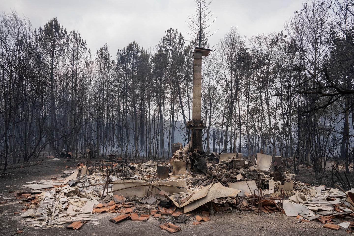 Residents who lost their homes go back to piles of rubble and ash on Le Porge's 'Desolation Avenue'