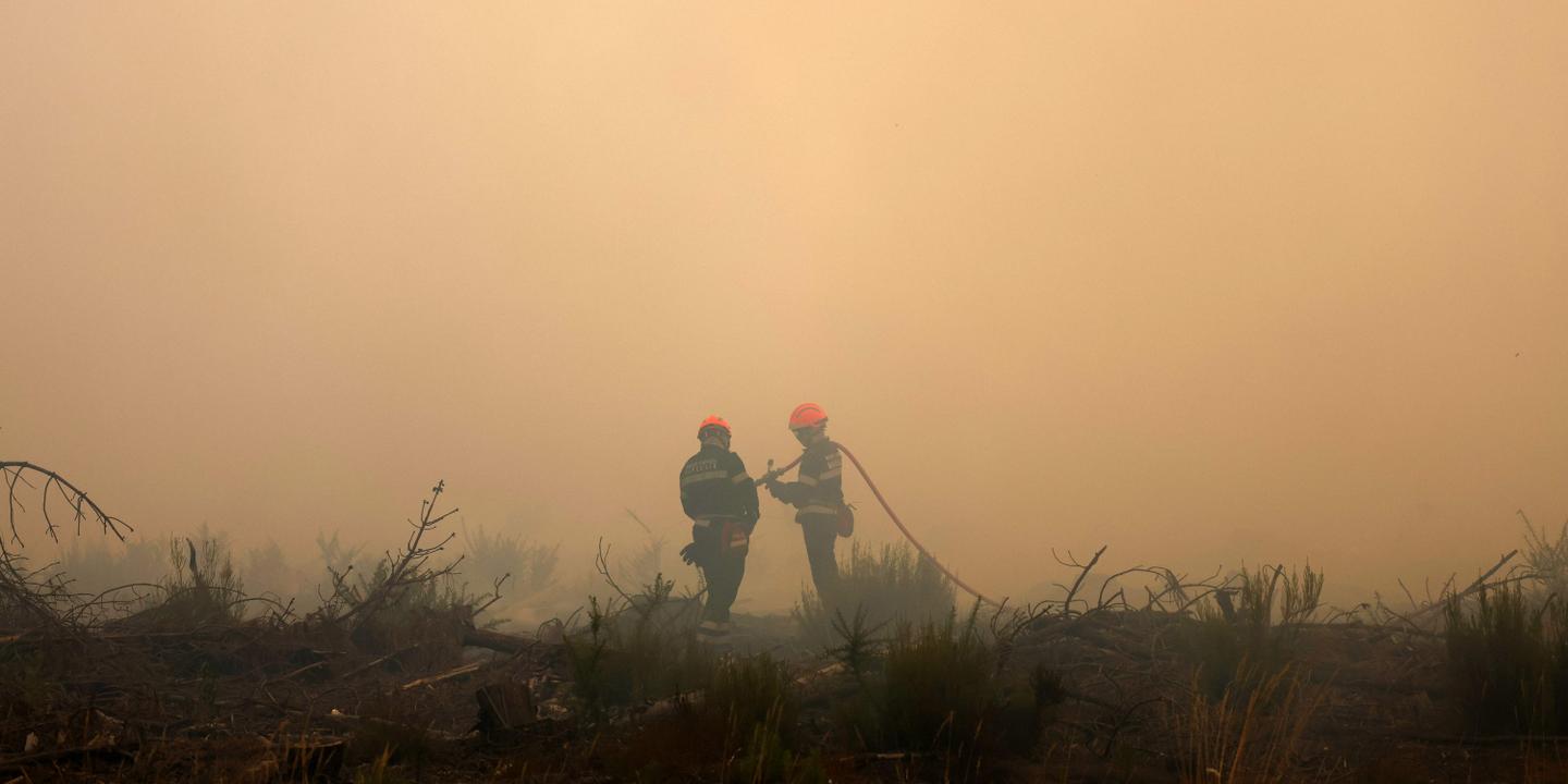 Gironde : le feu redevient « extrêmement virulent » selon Nuñez