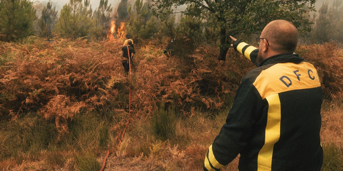 Incendies en France : 115 000 hectares brûlés, une situation inédite selon Nuñez
