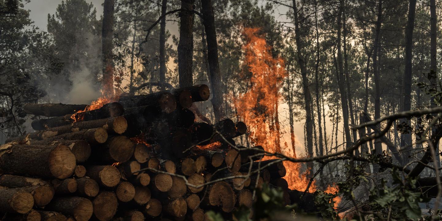 Feux en Gironde : 14 reprises de feu constatées, situation stabilisée selon la préfète