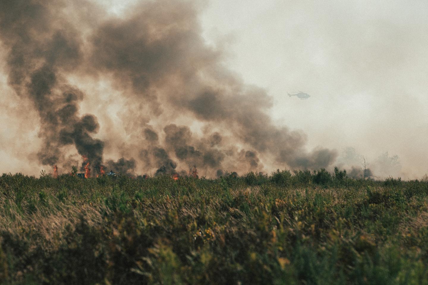Joëlle Zask, philosopher: 'When it comes to megafires, political will at the highest level depends on the will of the citizen majority'