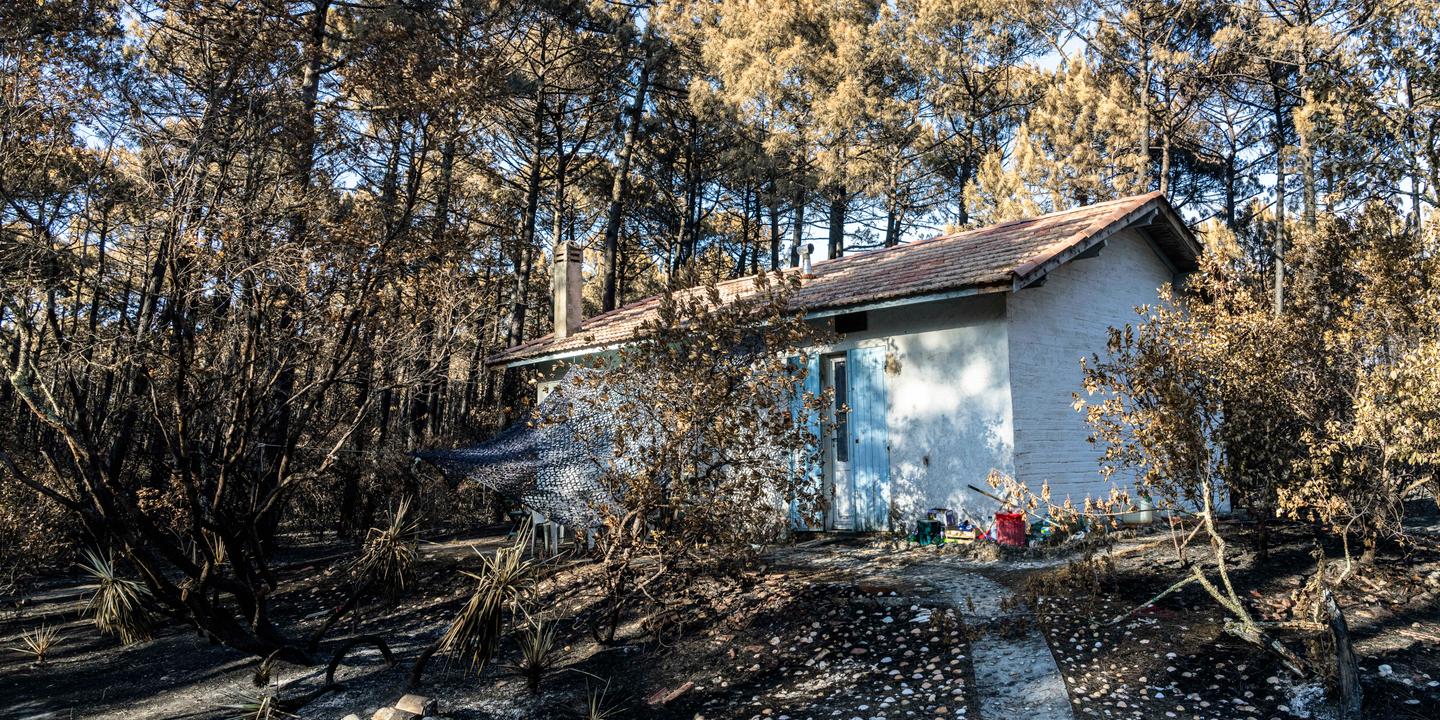 Artificialisation des sols : les régions à risque incendie en tête