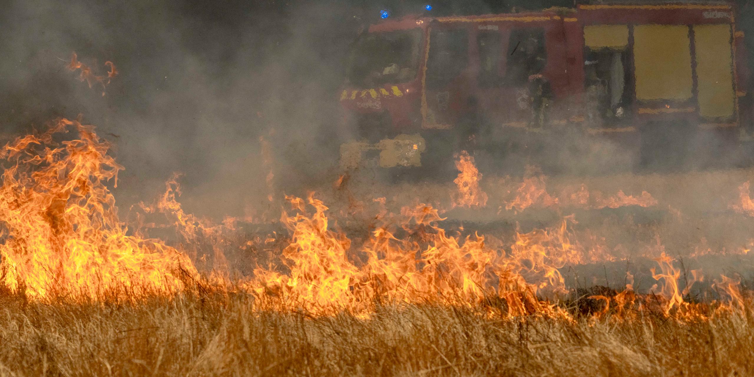 « Je vous conseille de quitter les lieux assez vite, je veux dire : tout de suite » : à Lanton, au bord du bassin d’Arcachon, le pire a été évité face à la progression fulgurante des flammes