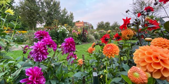 Le peintre Emil Nolde et sa palette flamboyante inspirée de son jardin à Seebüll, en Allemagne
