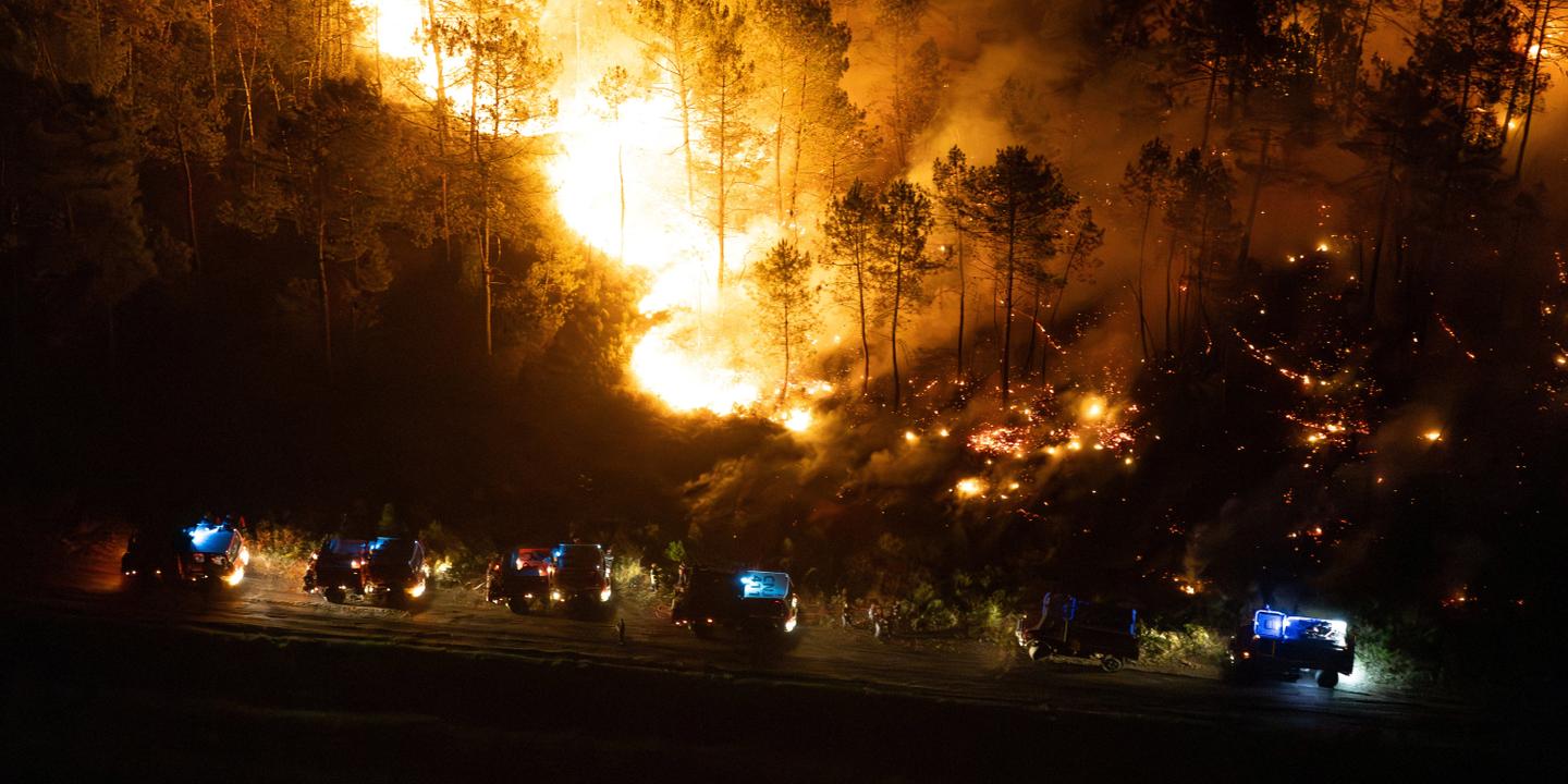 Incendie en Gironde : plus de 25 000 hectares brûlés en juillet 2026