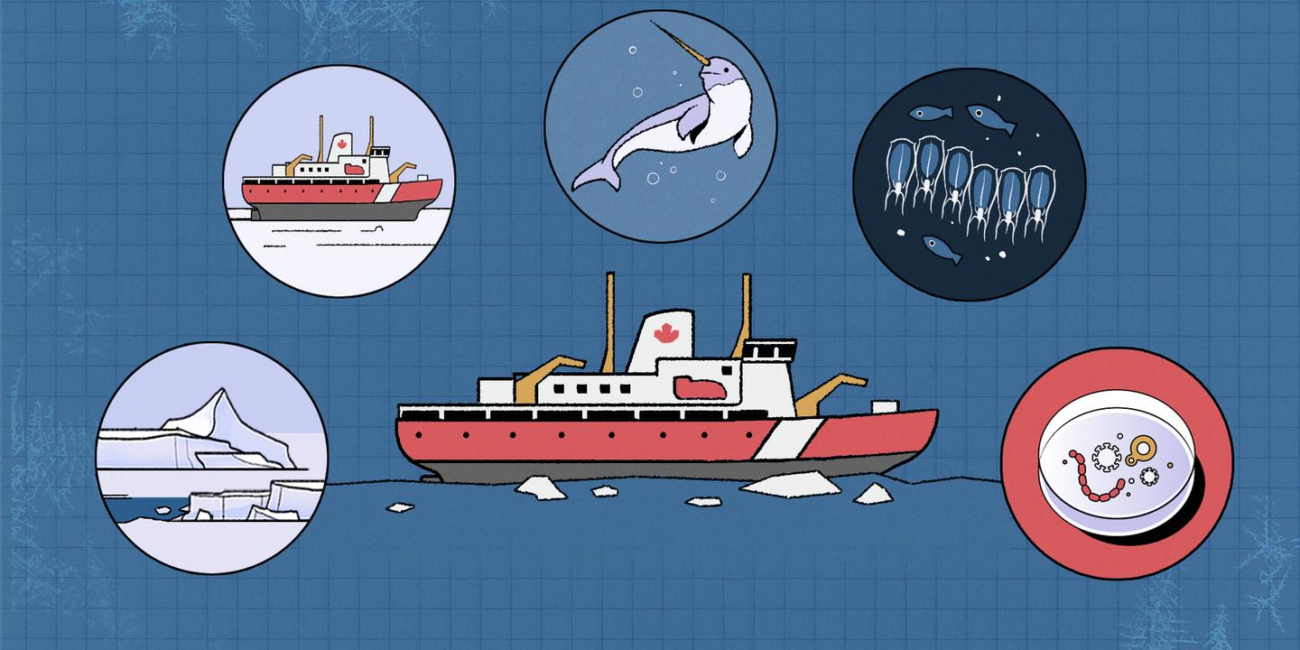 Vidéo : quatre semaine à bord d’un brise-glace, ces navires à la technologie de plus en plus convoitée