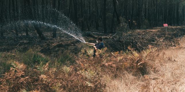 Une saison de feux historique, en France comme en Europe, sur fond de sécheresse et de réchauffement climatique