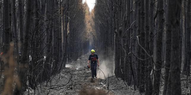 EN DIRECT, incendies : « La situation reste stable » en Gironde, où une reprise du trafic ferroviaire est « en cours » ; des pompiers supplémentaires attendus dans le Var samedi