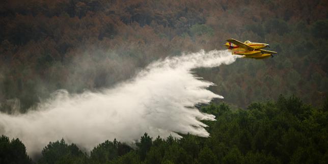 Comment se situe le feu de Gironde par rapport aux précédents historiques ?