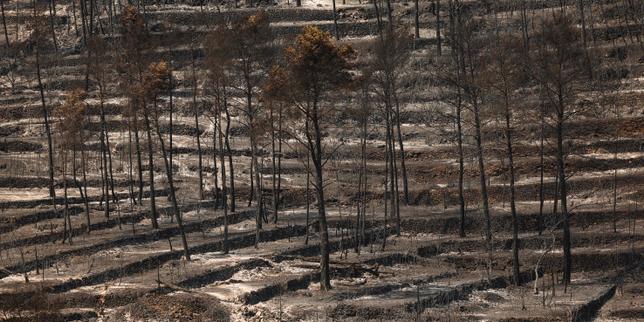 Incendies : dans le Var, les pompiers face à un nouveau feu « pas encore fixé », 6 300 hectares parcourus ; situation « stable » en Gironde