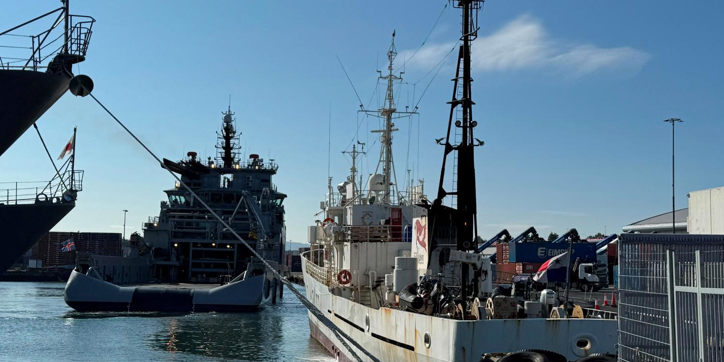 L’Islande ordonne l’expulsion de 21 militants engagés contre la chasse à la baleine avec la fondation de Paul Watson