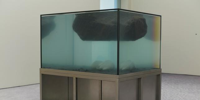 Le plasticien Pierre Huyghe : « Pour produire d’autres imaginaires, je ne veux pas être prisonnier de ce avec quoi je suis en désaccord »
