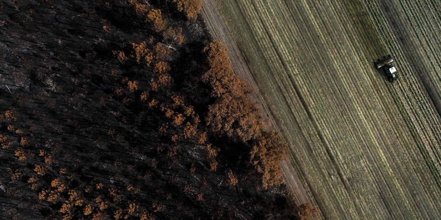 Incendies : plan gouvernemental pour les agriculteurs face au climat